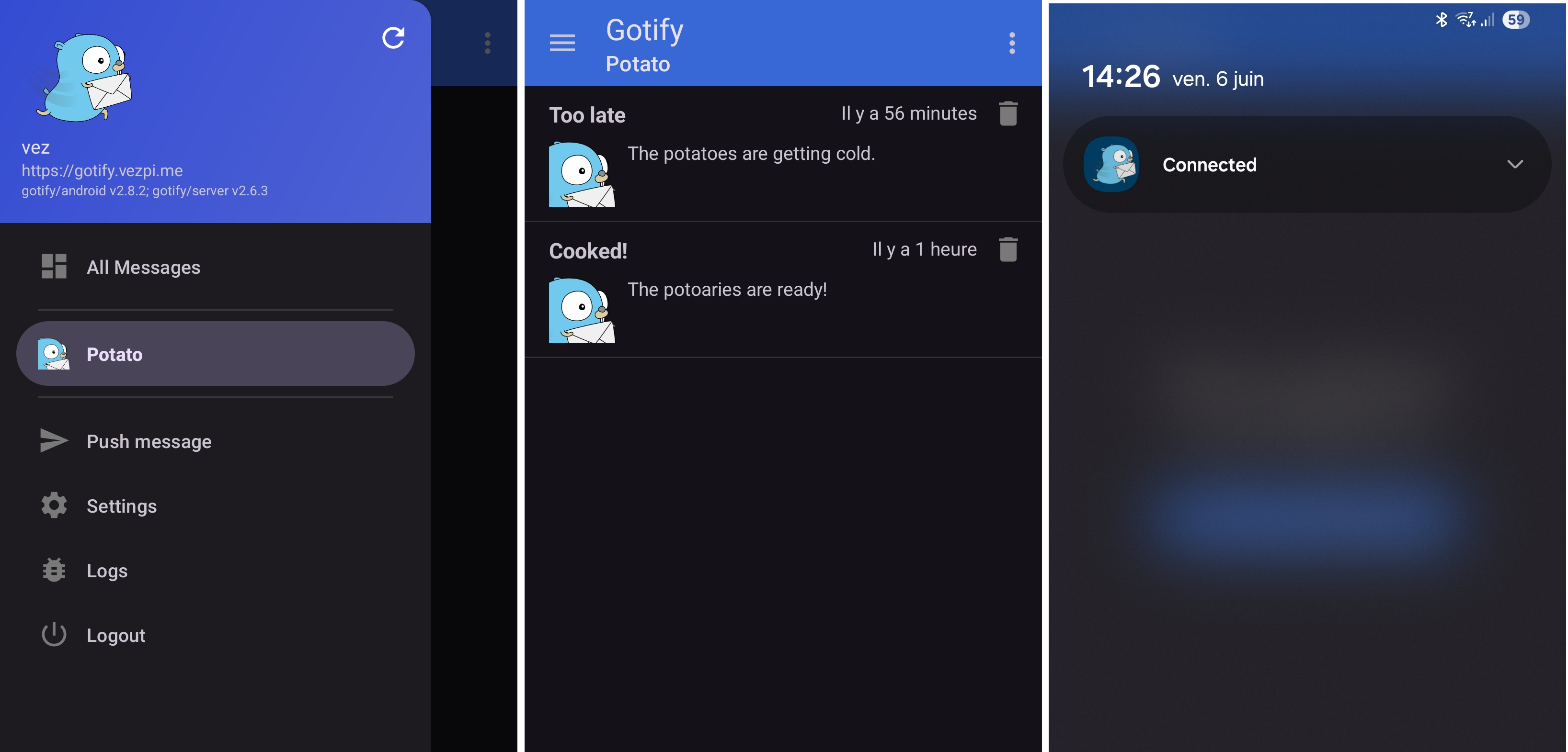 Gotify's Android App screenshot for test messages