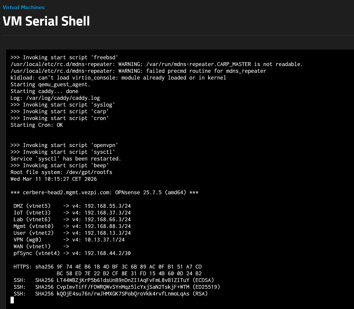 OPNsense démarre avec succès comme VM TrueNAS